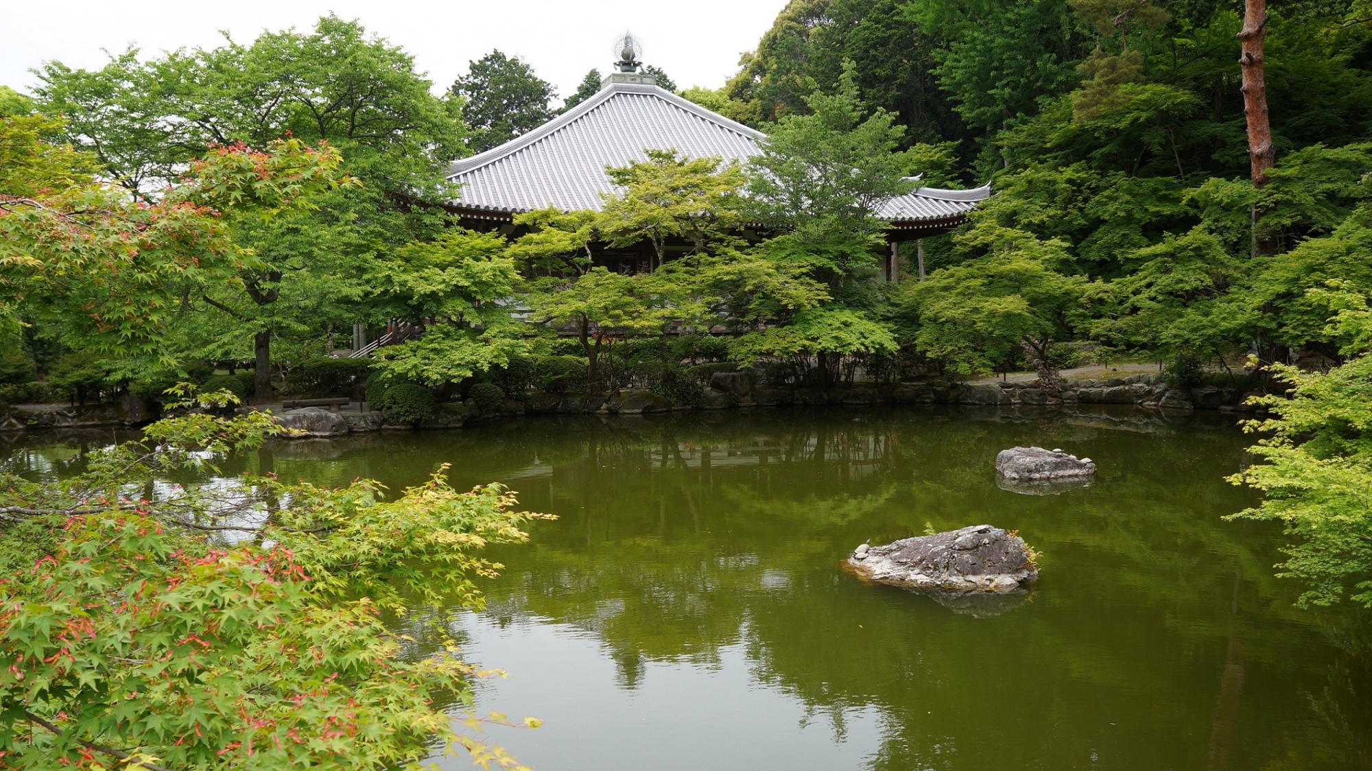 Daigoji-Temple Kyoto