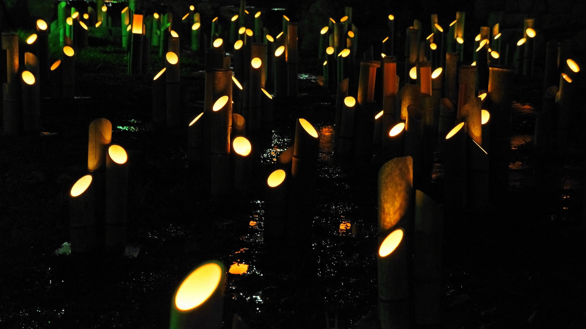 Kyoto Maruyama-Koen Park light up まるやま公園 竹灯り 東山花灯路