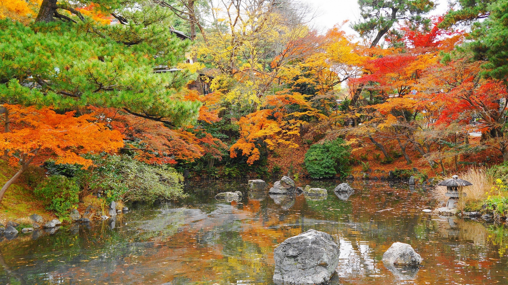 円山公園 紅葉