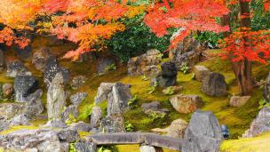 高台寺圓徳院の北庭の紅葉