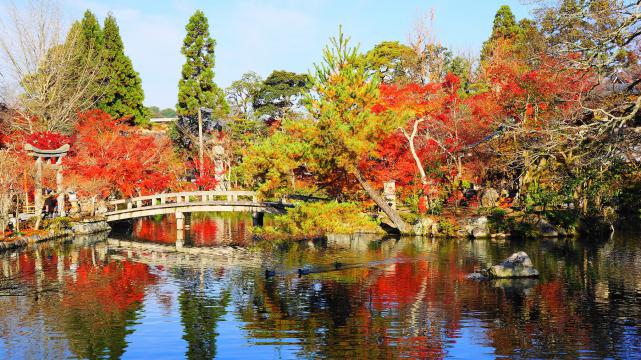 永観堂の放生池と紅葉