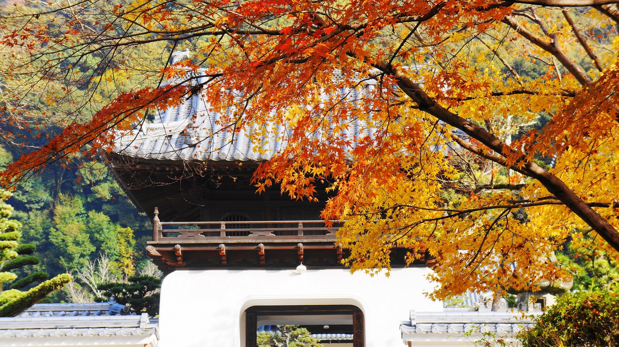 Kyoto Uji Kosho-ji Temple autumn leaves