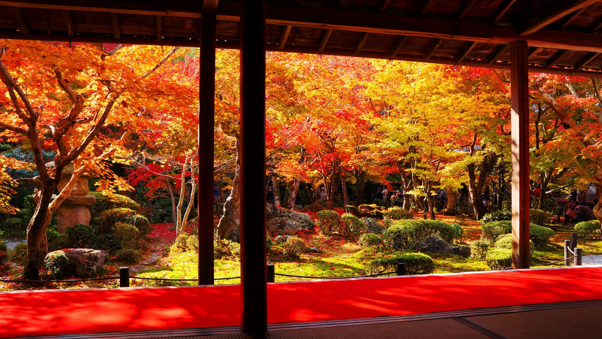 洛北の圓光寺の十牛之庭の優雅な見ごろの紅葉
