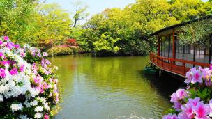azalea Kyoto Shinsen-en Temple 法成就池 ツツジ 見ごろ 神泉苑