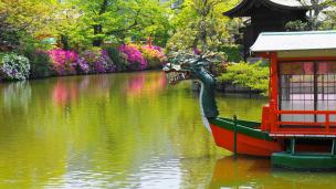 azalea Shinsen-en Kyoto ツツジ 見ごろ 法成就池 しんせんえん