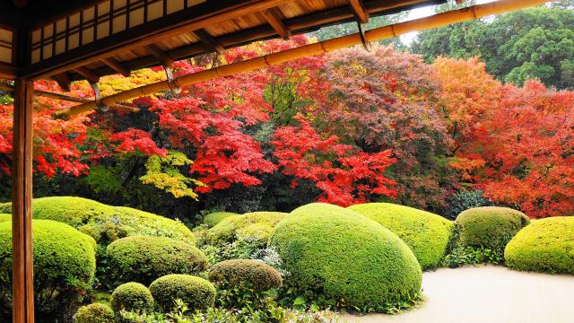色とりどりの紅葉につつまれた詩仙堂の庭園