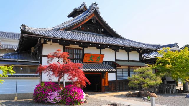 京都妙満寺の方丈前の満開のツツジ
