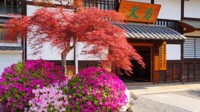 妙満寺の方丈前の満開のツツジと美しい紅葉
