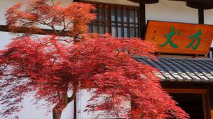 妙満寺 方丈と紅葉