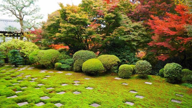 紅葉に染まった東福寺方丈庭園の北庭