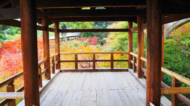 東福寺の通天台から眺めた通天橋と見ごろの紅葉 11月