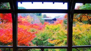 東福寺の臥雲橋から眺めた通天橋と見ごろの紅葉