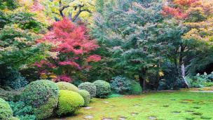 Tofukuji-Temple Kyoto Hojo-Garden 紅葉 見ごろ 方丈庭園 北庭