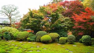 東福寺 方丈庭園 北庭 紅葉