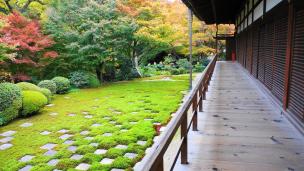 東福寺方丈庭園の北庭と見ごろの紅葉