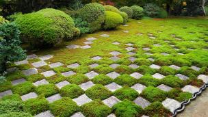 東福寺 方丈庭園 北庭 苔