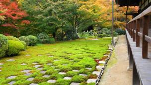 東福寺方丈庭園の北庭と紅葉