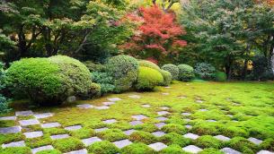 東福寺 方丈庭園 北庭 紅葉 見ごろ
