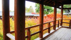 東福寺の通天台から眺めた通天橋と見ごろの紅葉