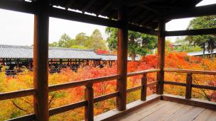 東福寺 通天台から眺めた通天橋 見ごろ 紅葉 2012年
