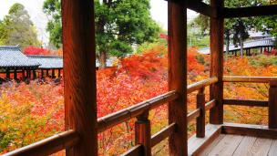 東福寺の通天台から眺めた通天橋と見ごろの華やかな紅葉