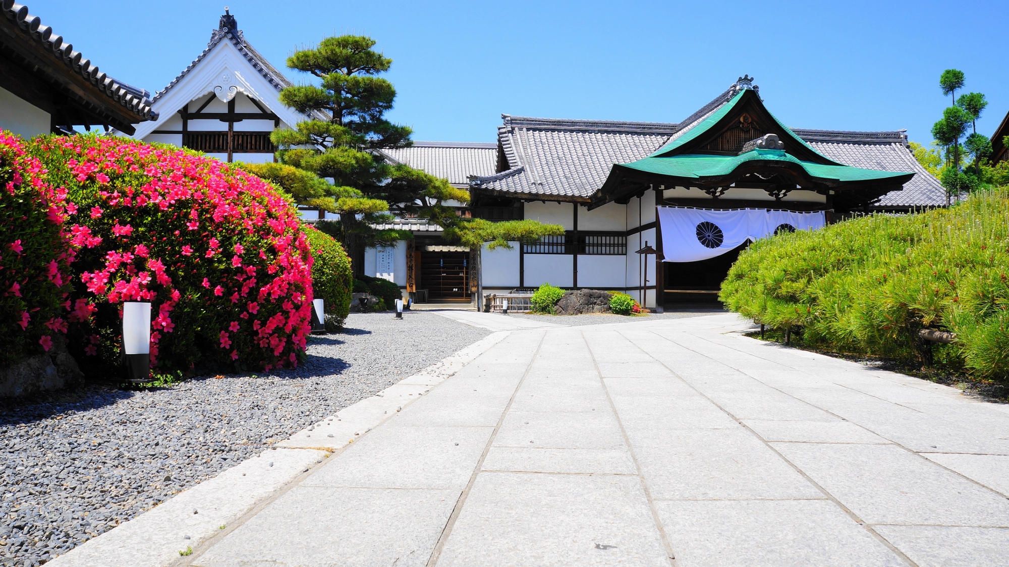 大覚寺の式台玄関と満開のサツキ