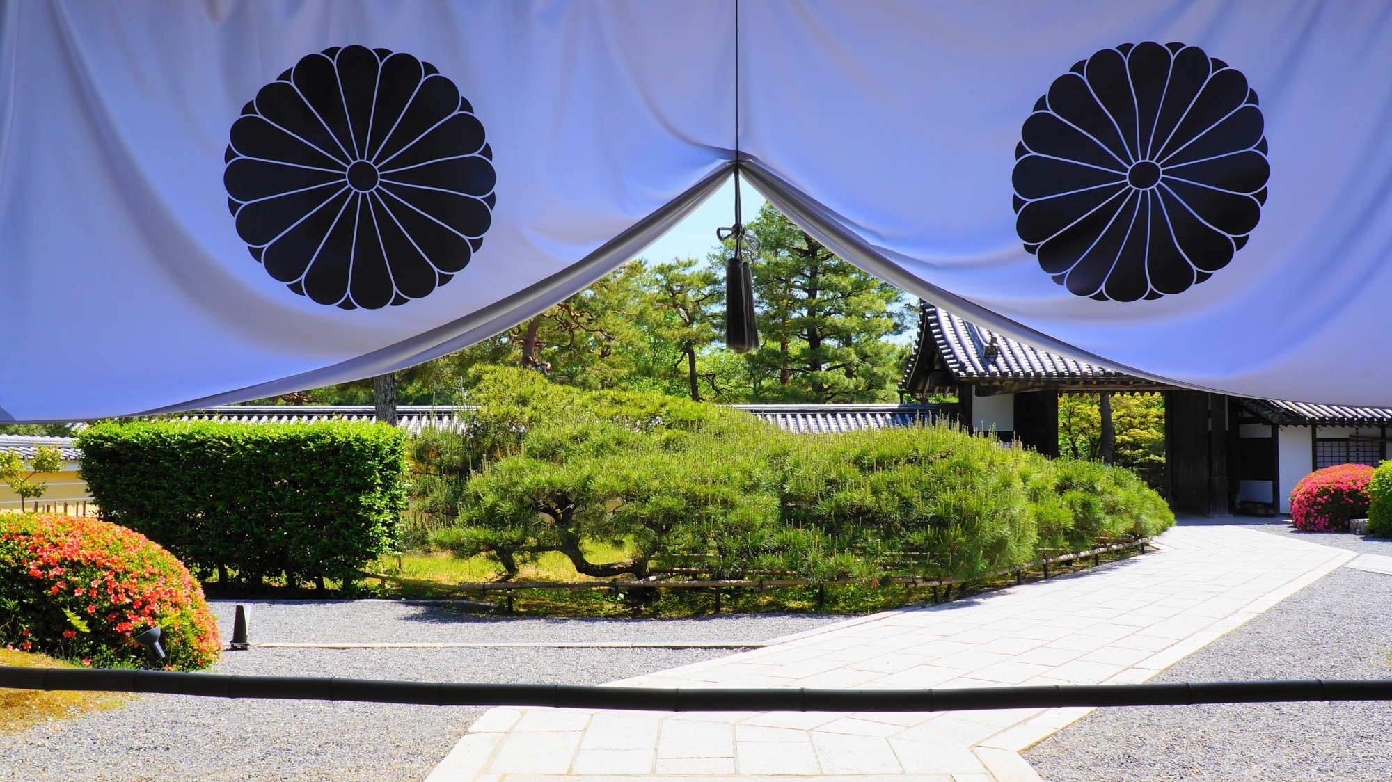 広がる立派な松とサツキが見える大覚寺の玄関の中からの眺め