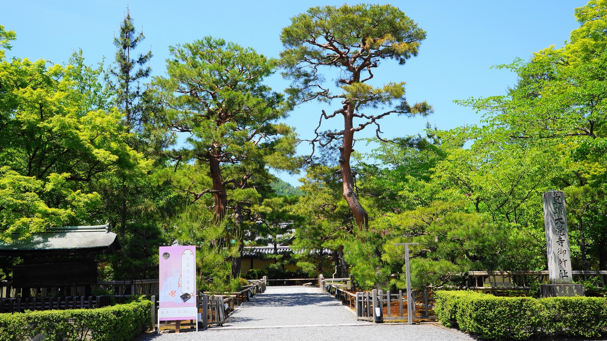 鮮やかな緑につつまれた大覚寺（旧嵯峨御所大覚寺門跡）の入口