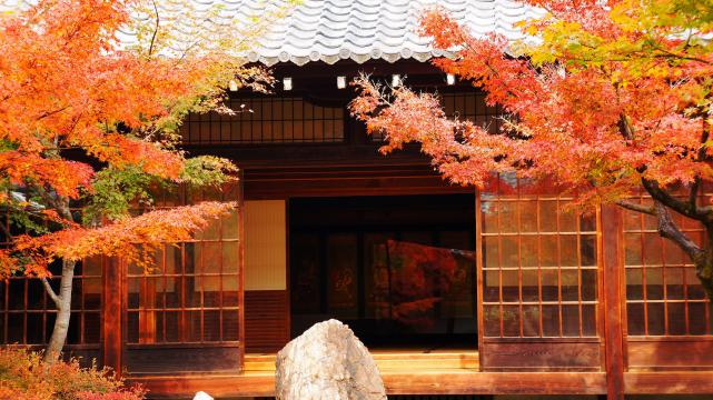 建仁寺の潮音庭のガラスに映る紅葉