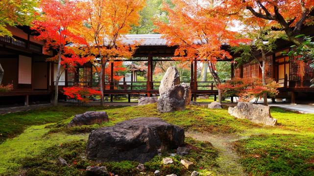 建仁寺の苔と岩の潮音庭の見ごろの紅葉