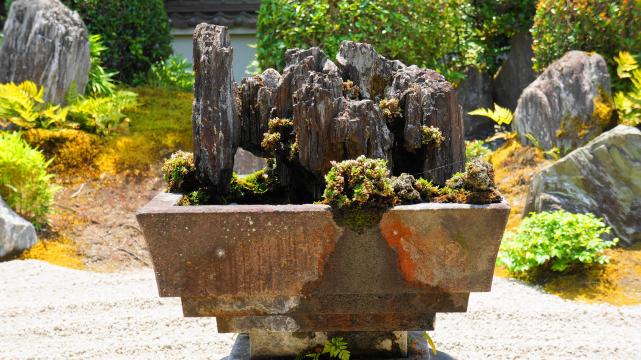 東福寺塔頭霊雲院の美しい九山八海の庭（霊の庭）の遺愛石（いあいせき）