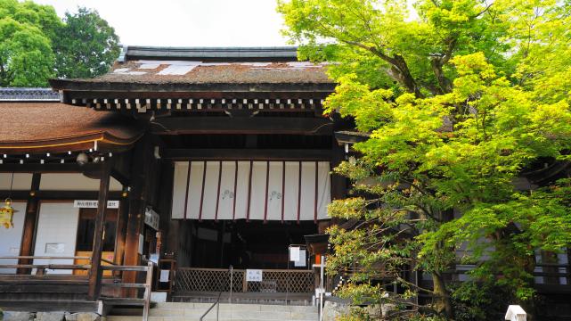 上賀茂神社の高倉殿と新緑