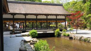 上賀茂神社の橋殿と新緑