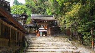 上賀茂神社の新宮