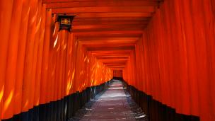 Kyoto Fushimi-Inari Taisha 千本鳥居 ふしみいなり