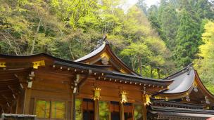京都貴船神社の本宮