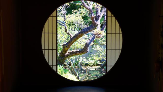 雲龍院の書院悟之間の「悟りの窓」