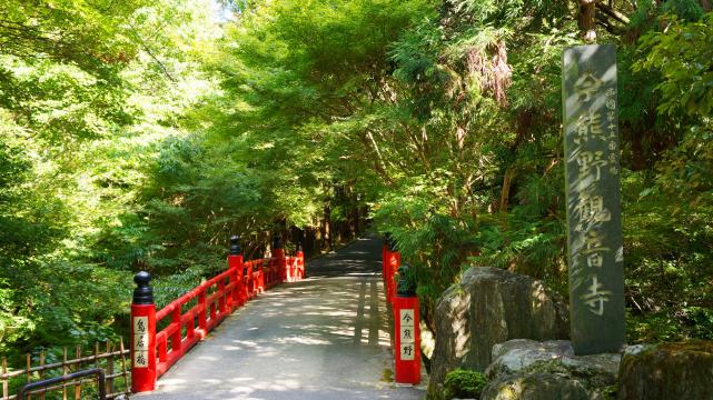 今熊野観音寺の鳥居橋と華やかな青紅葉