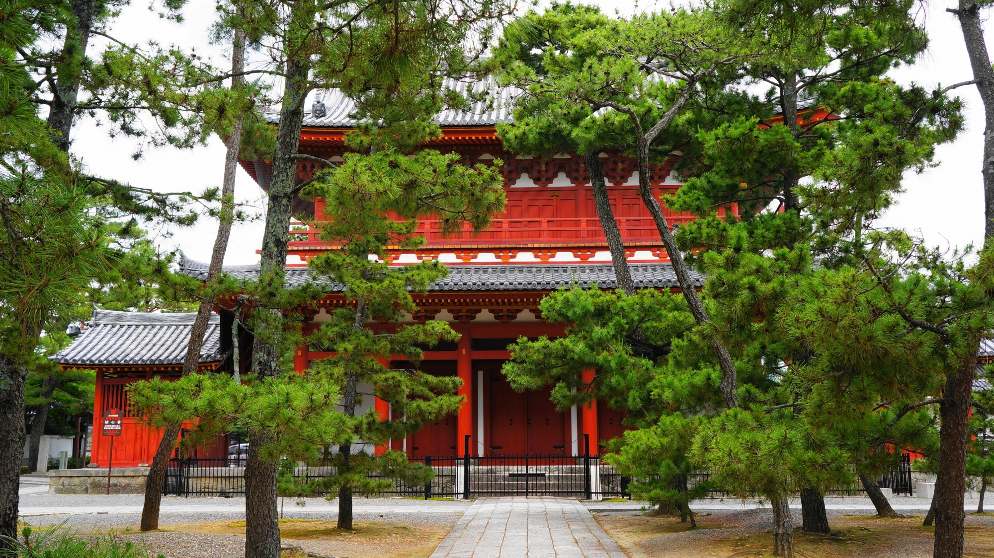 妙心寺の赤色の大きな三門