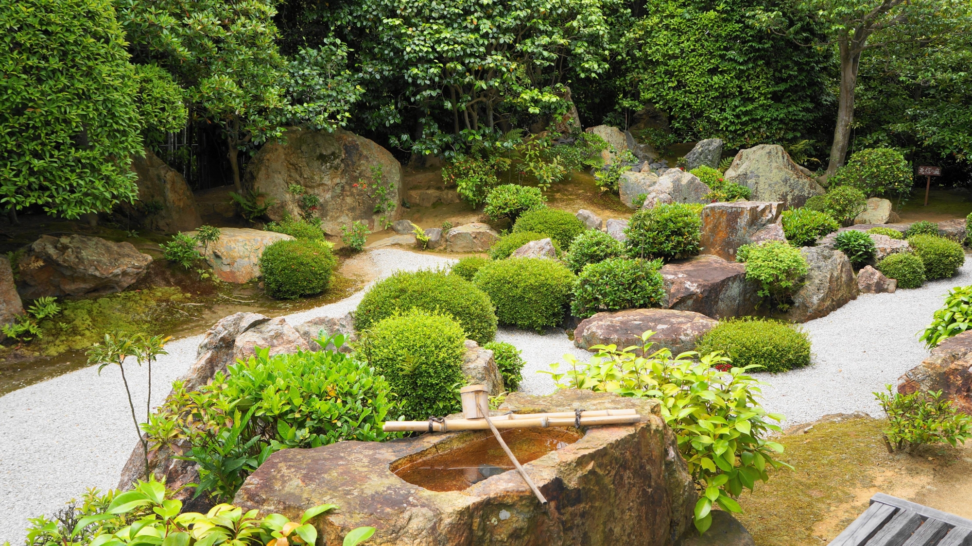 妙心寺退蔵院の美しい元信の庭