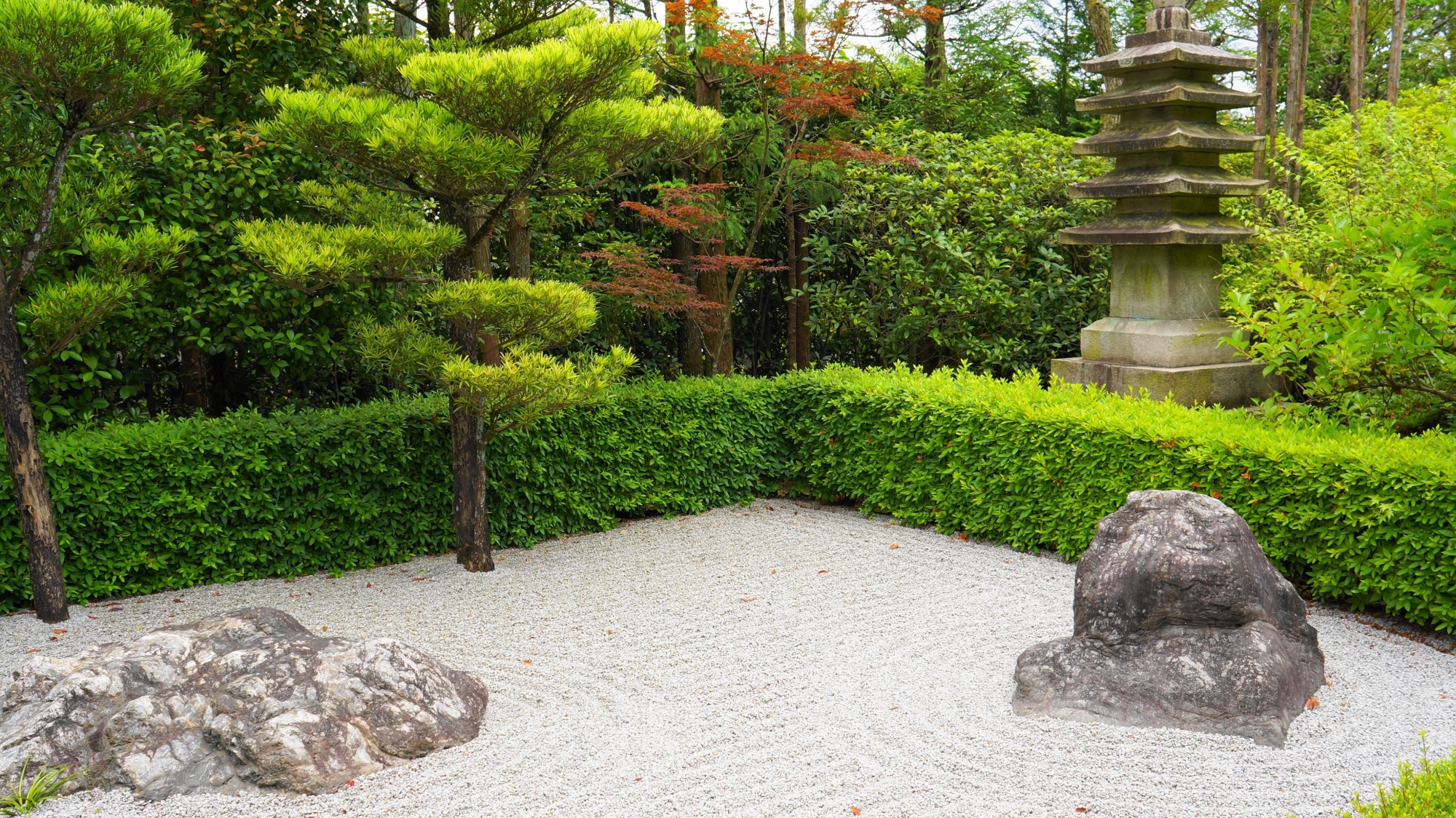 妙心寺 退蔵院の美しい陰陽の庭（石庭）