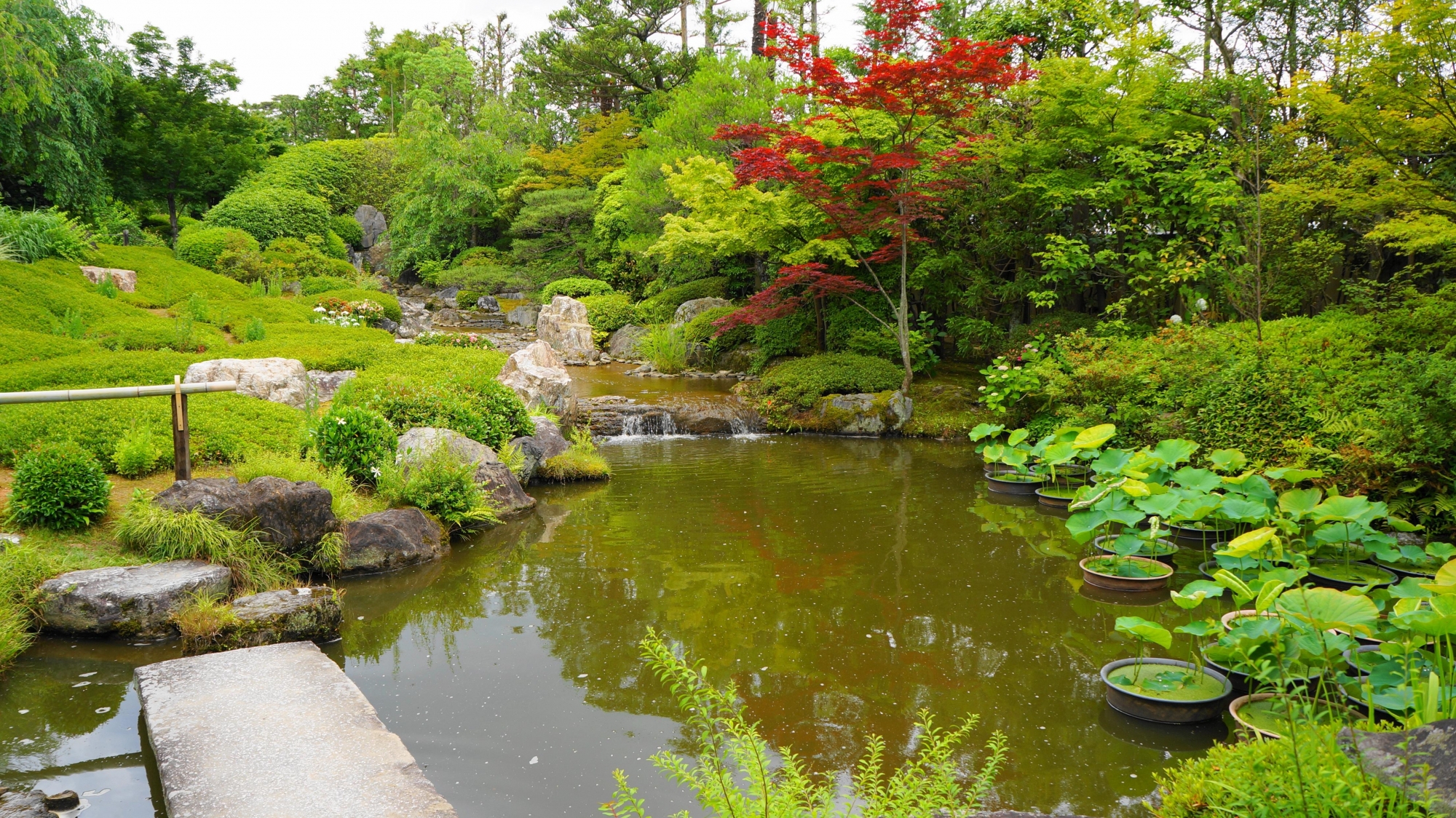 京都妙心寺他中の退蔵院の美しい余香苑