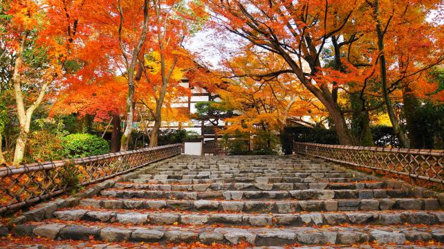 紅葉につつまれた京都龍安寺の庫裡と石段
