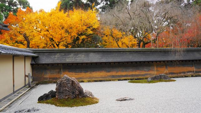 綺麗な紅葉に染まった龍安寺の石庭