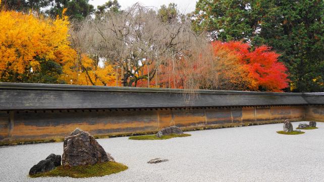 紅葉につつまれた世界文化遺産の龍安寺の石庭