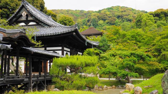 高台寺の美しい庭園