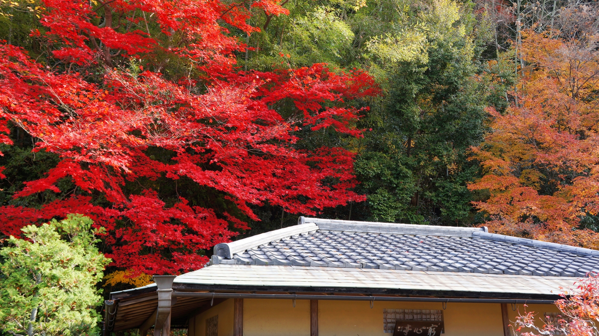 南禅寺方丈内の紅葉