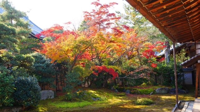 清涼寺の方丈庭園の紅葉