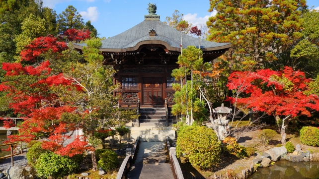 清涼寺の弁天堂と見ごろの紅葉