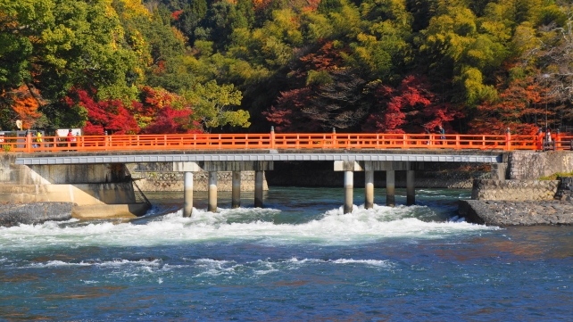 京都宇治川の観流橋と紅葉